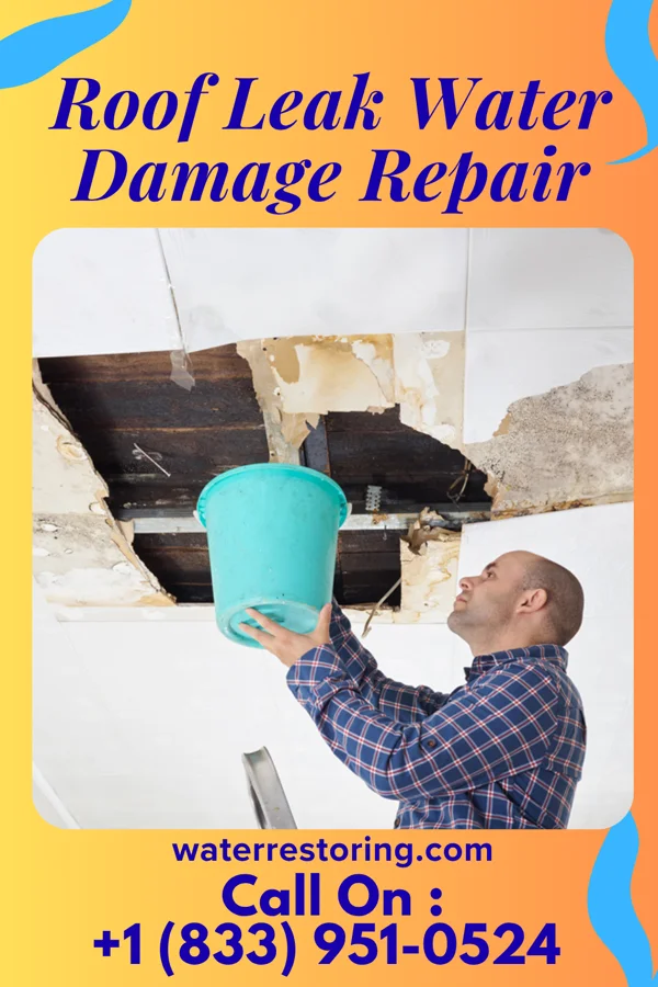 Roof Leak Water Damage Repair in Fern Prairie, WA