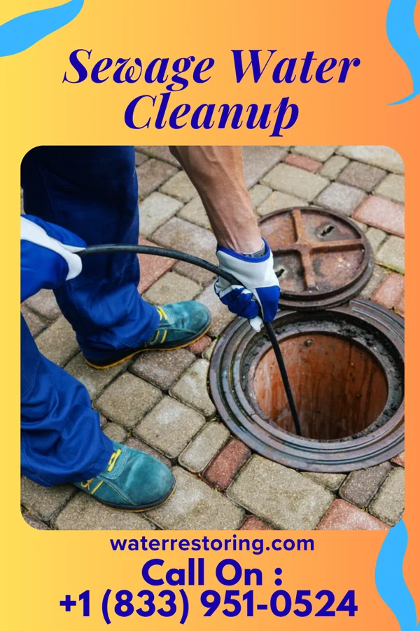 Sewage Water Cleanup in Fern Prairie, WA